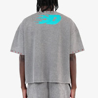 GREY DREAMER CROP T-SHIRT 611006