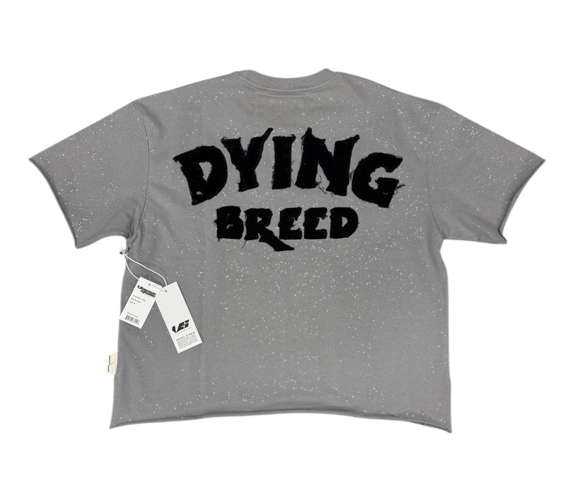 SLAYER CROPPED SHIRT Gray 53T02