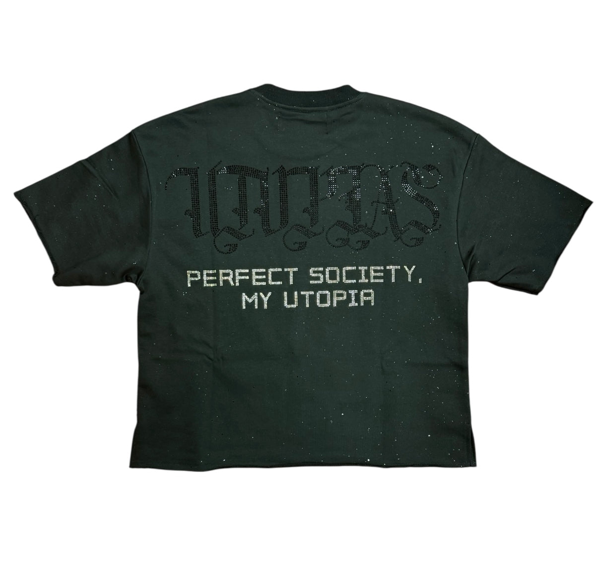 BKYS cropped Tshirt T1361