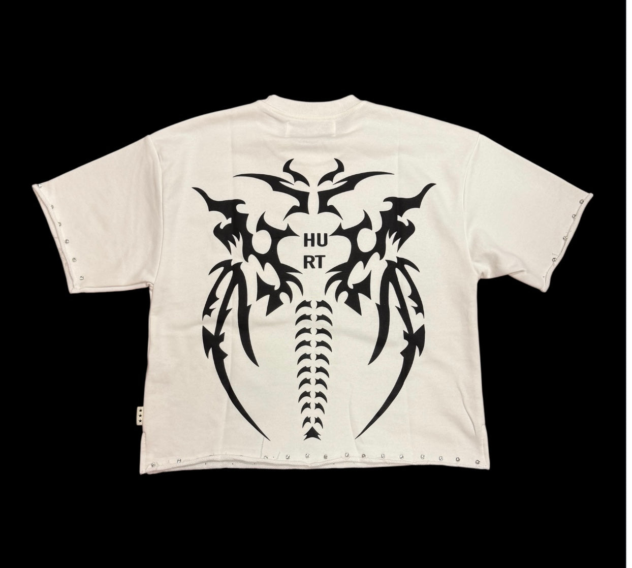 "HURT" F-TERRY CROPPED T-SHIRT t1285c