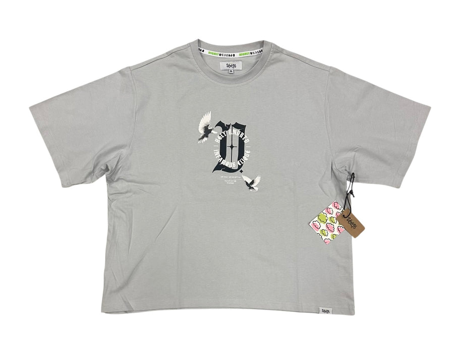 CROPPED AIM HIGH GLACIER GREY US5110S