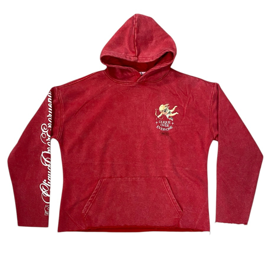 Over Everyone Washed Crop Hoodie