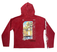 Over Everyone Washed Crop Hoodie