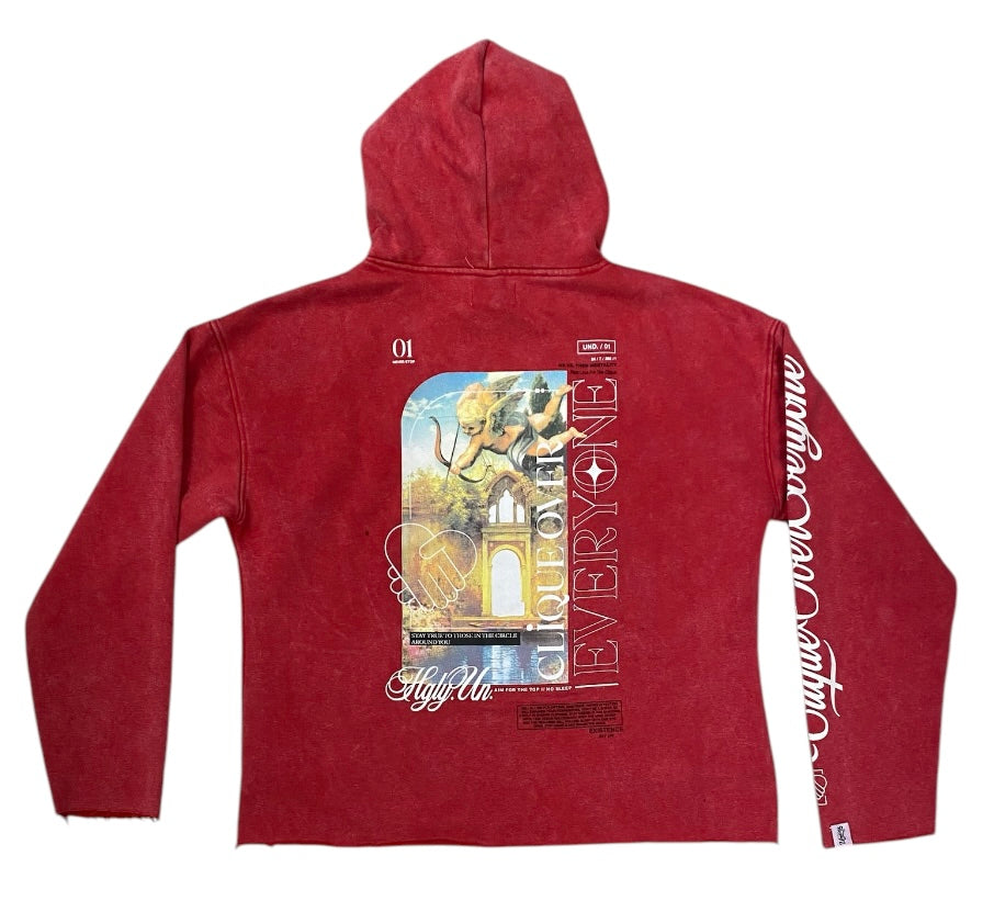 Over Everyone Washed Crop Hoodie