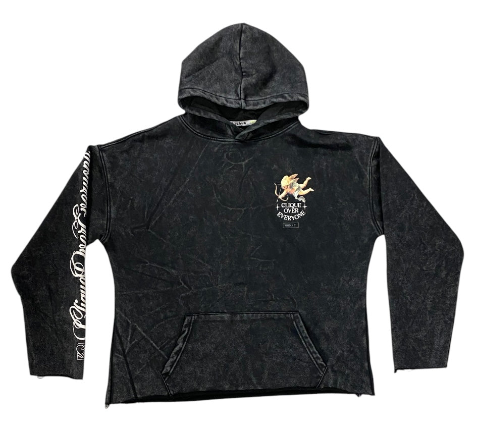 Over Everyone Washed Crop Hoodie