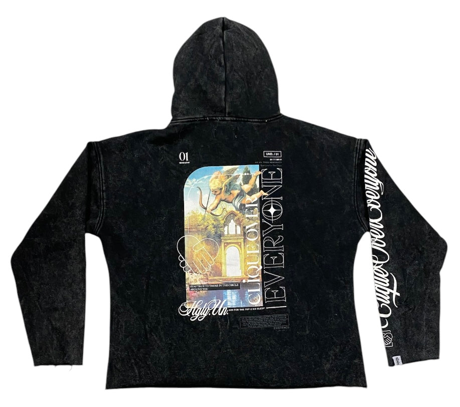 Over Everyone Washed Crop Hoodie