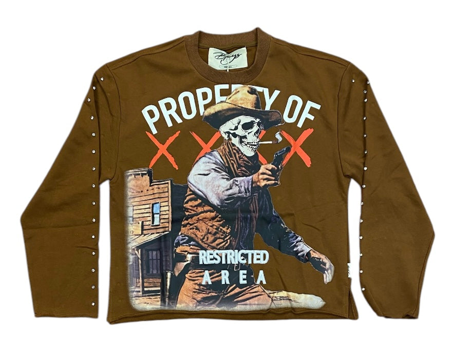 Cowboy Long Sleeve Cropped Shirt