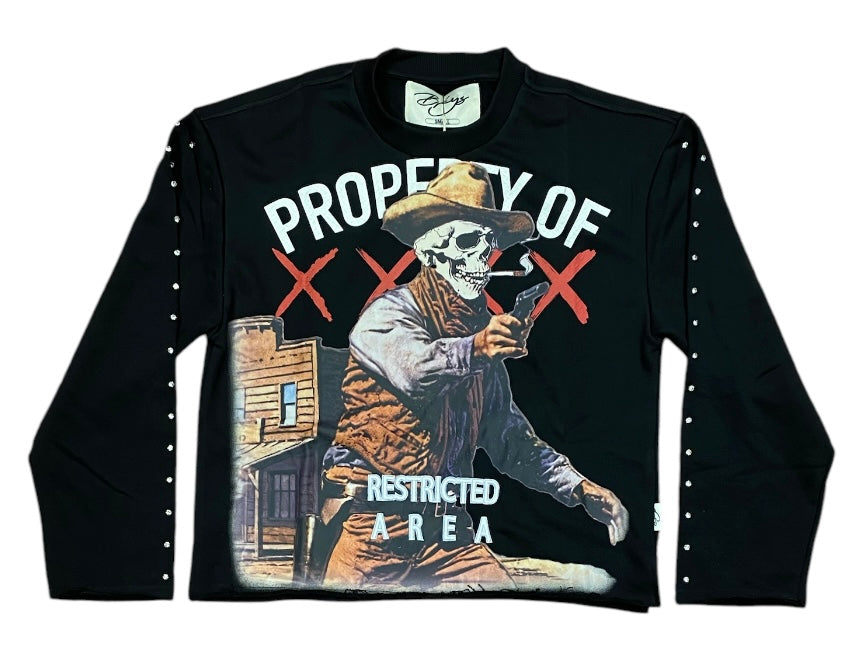 Cowboy Long Sleeve Cropped Shirt