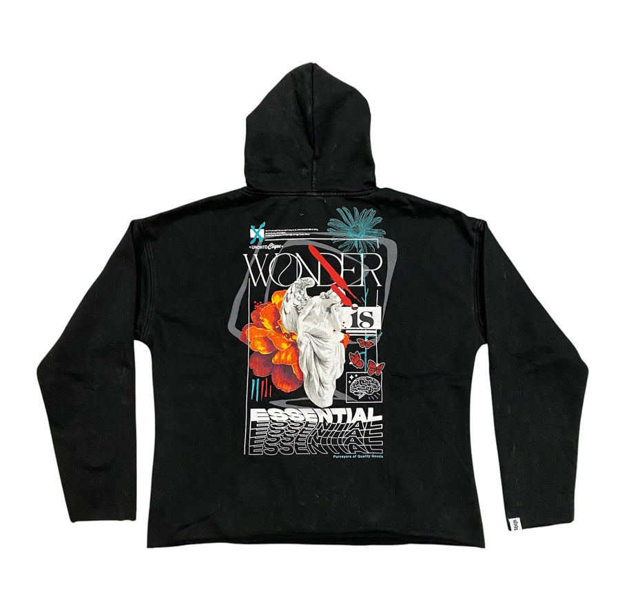 Wonder cropped hoodie