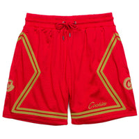 Legacy Mesh Shorts red
