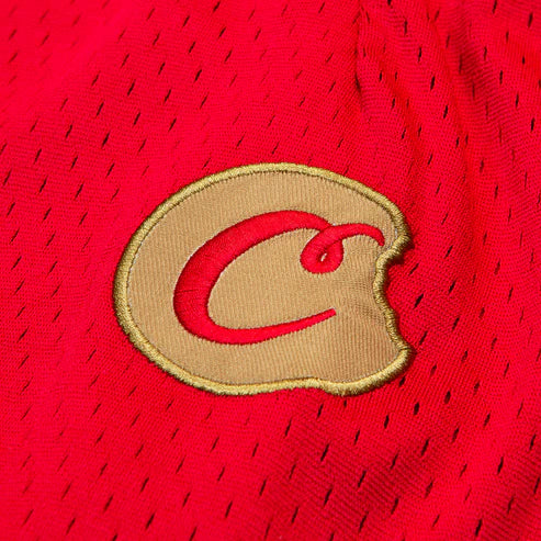 Legacy Mesh Shorts red