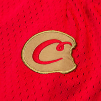 Legacy Mesh Shorts red