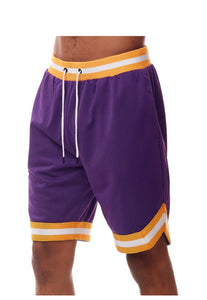 Basic Mesh shorts Purple