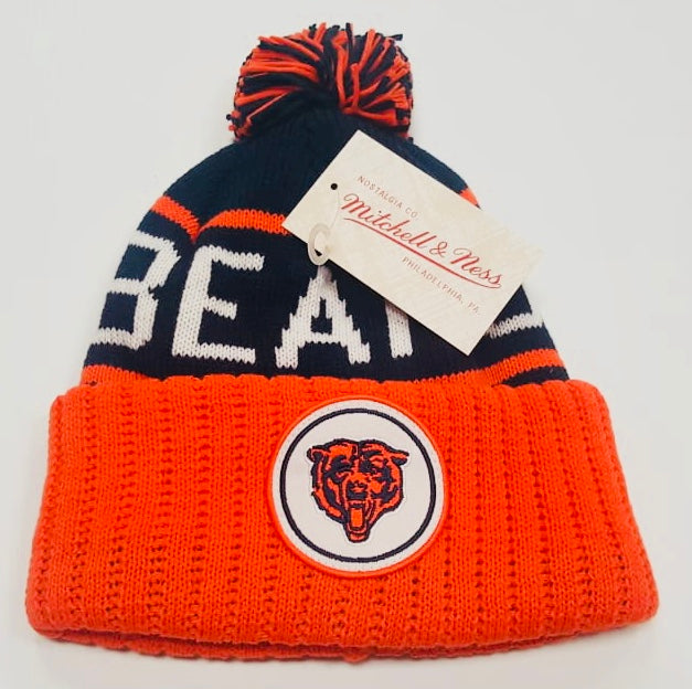 Bears Beanie