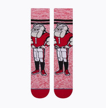 Load image into Gallery viewer, Stance Hairy Dog Character Socks
