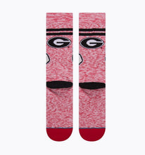 Load image into Gallery viewer, Stance Hairy Dog Character Socks