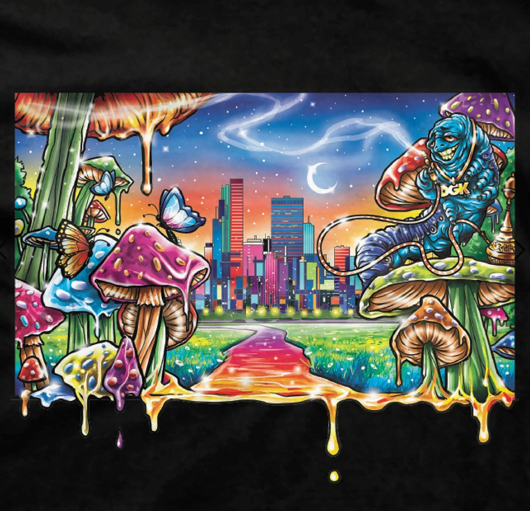 Drip City T-Shirt DGK